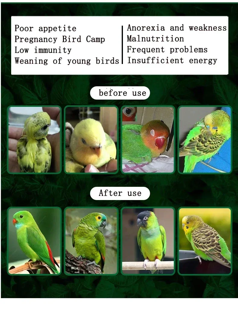 Parrot Glucose Electrolyte Xuanfeng Tiger Peony Supplement Energy Anti-stress Bird Health Care 200g - Image 2