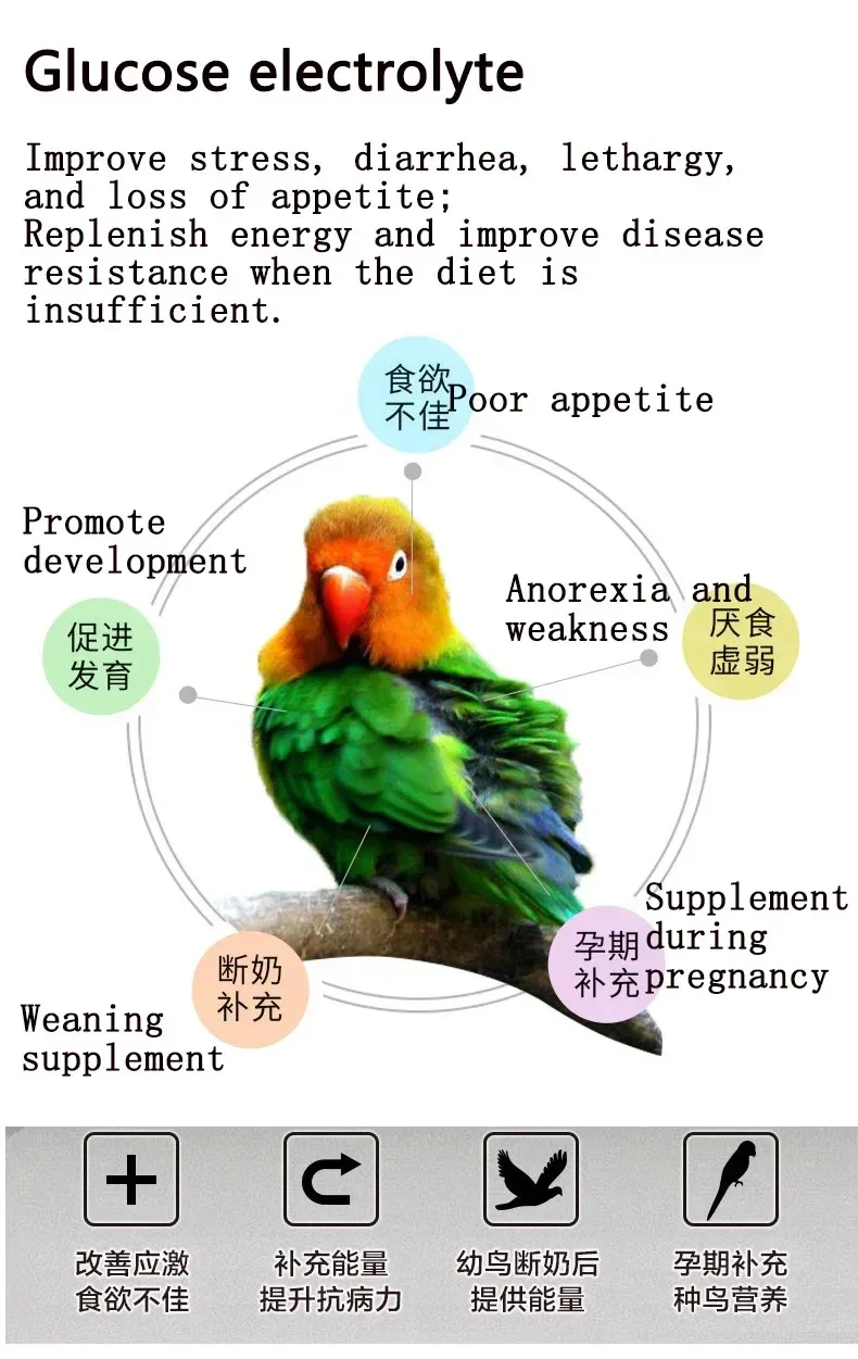 Parrot Glucose Electrolyte Xuanfeng Tiger Peony Supplement Energy Anti-stress Bird Health Care 200g - Image 3