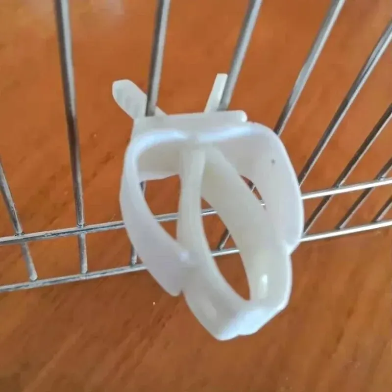 Cute Small Pet Bird Food Holder Parrot Fruits Vegetables Clip Cuttlefish Bone Feeder Device Clamp Bird Cage Accessories Oiseaux - Image 5