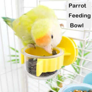 Parrot Feeding Bowl Detachable Bird Food Box for Cage Convenient Hanging Split Food Bowl Seed Water Feeder for Parrots
