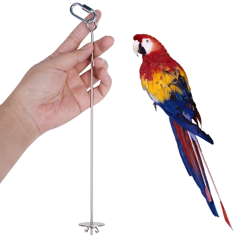 Parrot Stainless Steel Fruit Fork Apple Fork Toy Bird Cage Supplies Bird Fruit Insert Feeder Pet Parrot Accessories Bird Feeder - Image 4