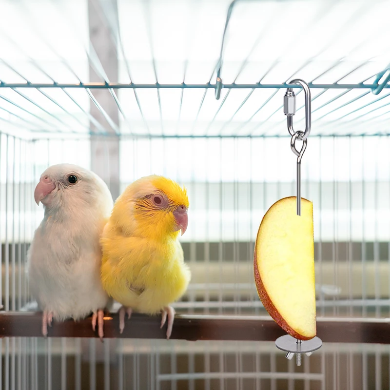 Parrot Stainless Steel Fruit Fork Apple Fork Toy Bird Cage Supplies Bird Fruit Insert Feeder Pet Parrot Accessories Bird Feeder - Image 6