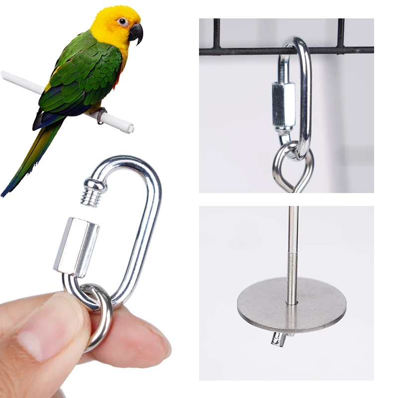 Parrot Stainless Steel Fruit Fork Apple Fork Toy Bird Cage Supplies Bird Fruit Insert Feeder Pet Parrot Accessories Bird Feeder - Image 5