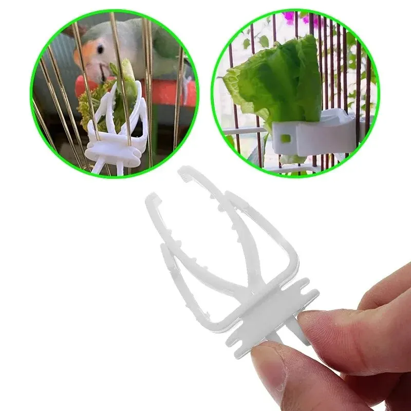 Cute Small Pet Bird Food Holder Parrot Fruits Vegetables Clip Cuttlefish Bone Feeder Device Clamp Bird Cage Accessories Oiseaux - Image 3
