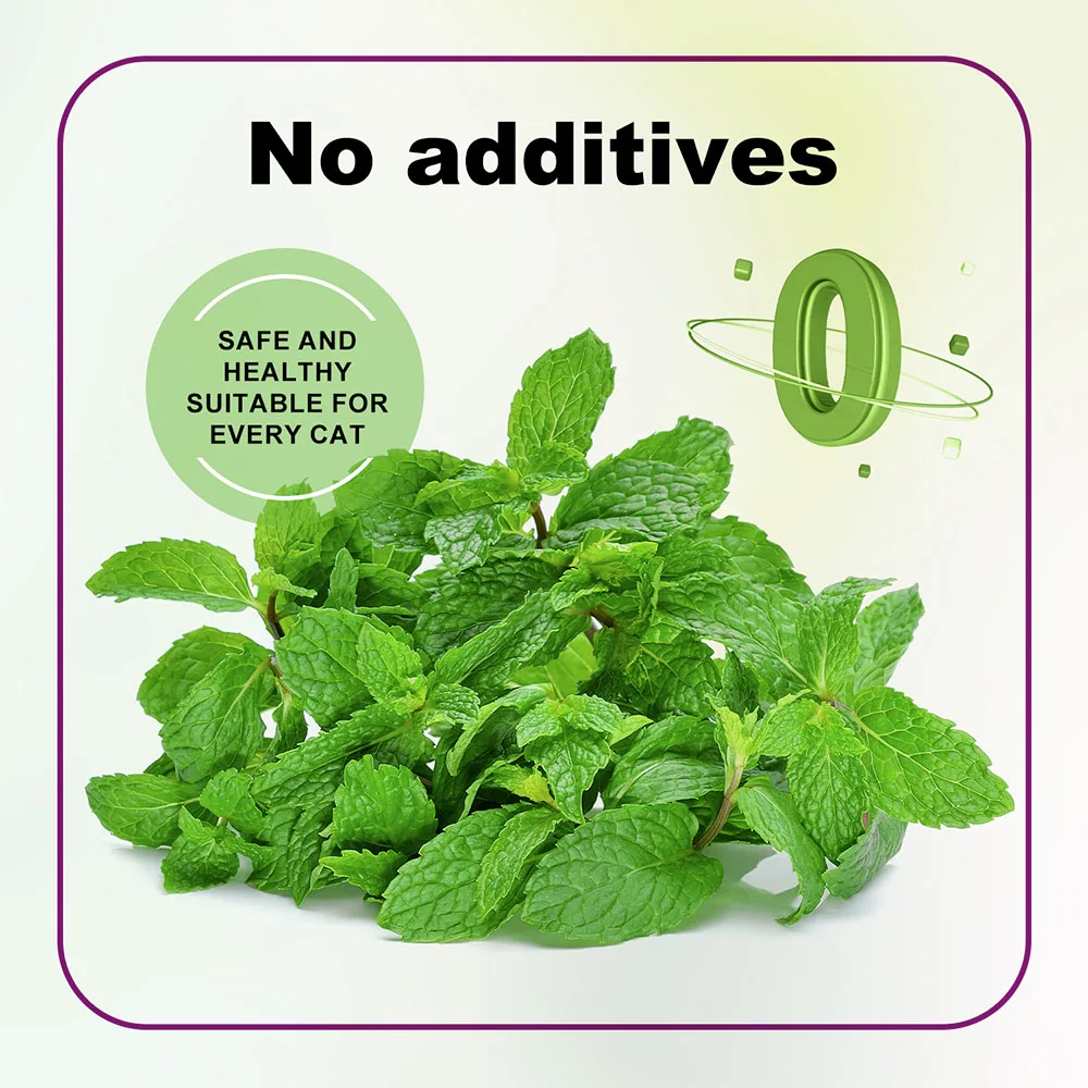 Organic Catnip Safe Premium Blend Perfect for Cats, Instilled with Maximized Potency your Kitty is Guaranteed to Go Crazy 100ML - Image 3