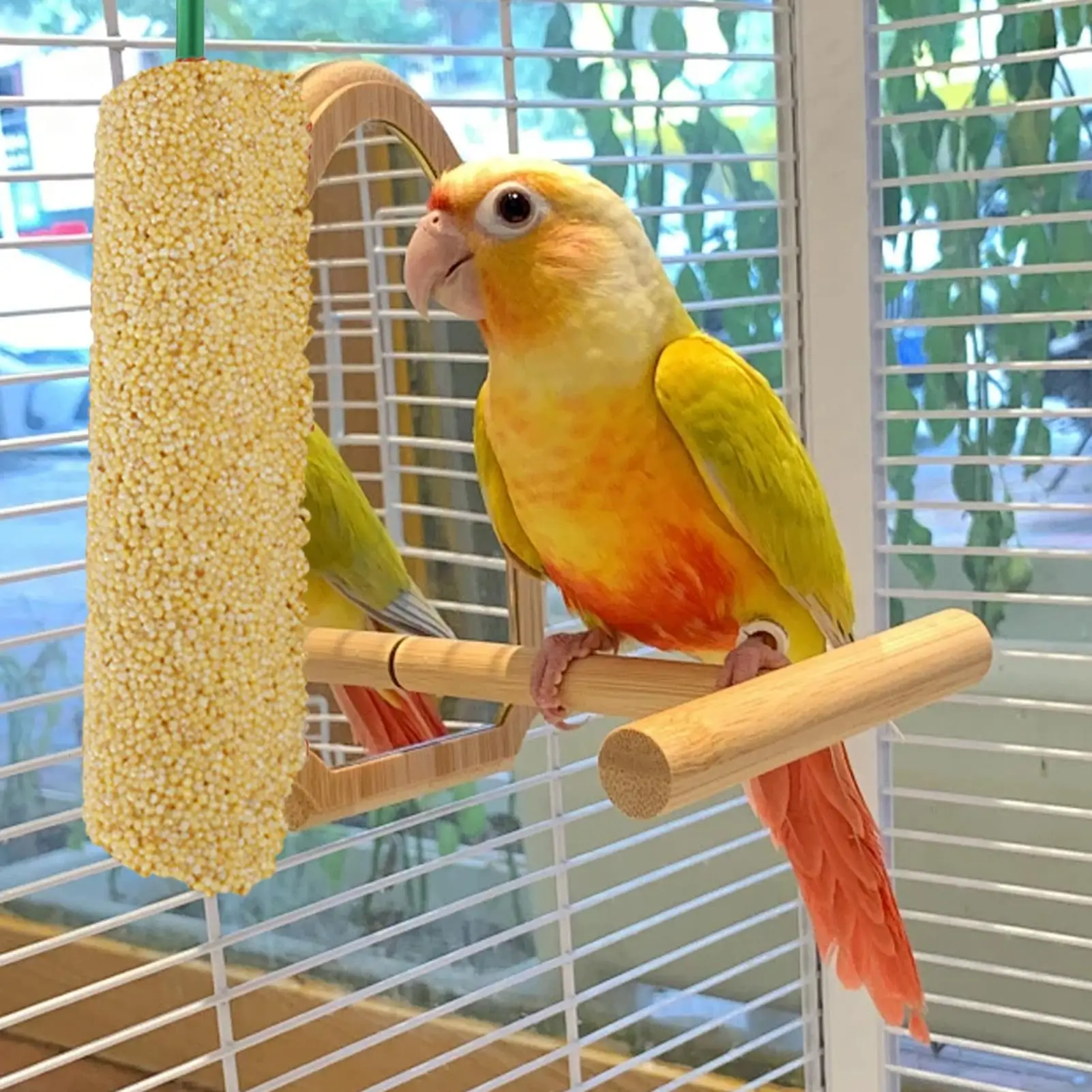 2 Pieces Bird Snacks Teething Sticks Training Food Rewards Chewing Foraging Snacks for Myna Parakeet Finch Conure Parrot - Image 5