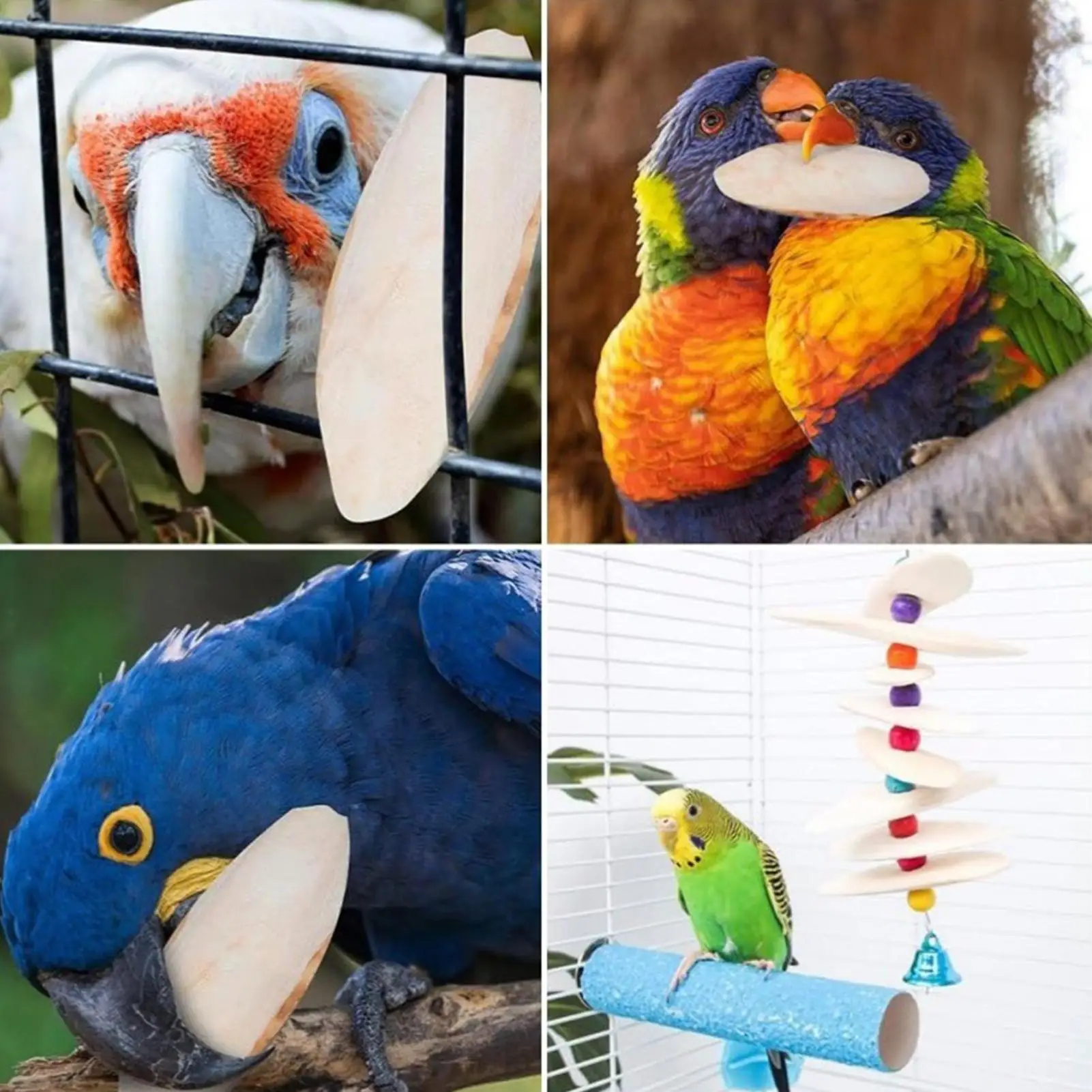 Bird Cuttle Bone Natural Calcium For Parrots 4 Pieces Pet Birds Nutritional Supplementation Calcium For Cockatiels Sparrow - Image 5