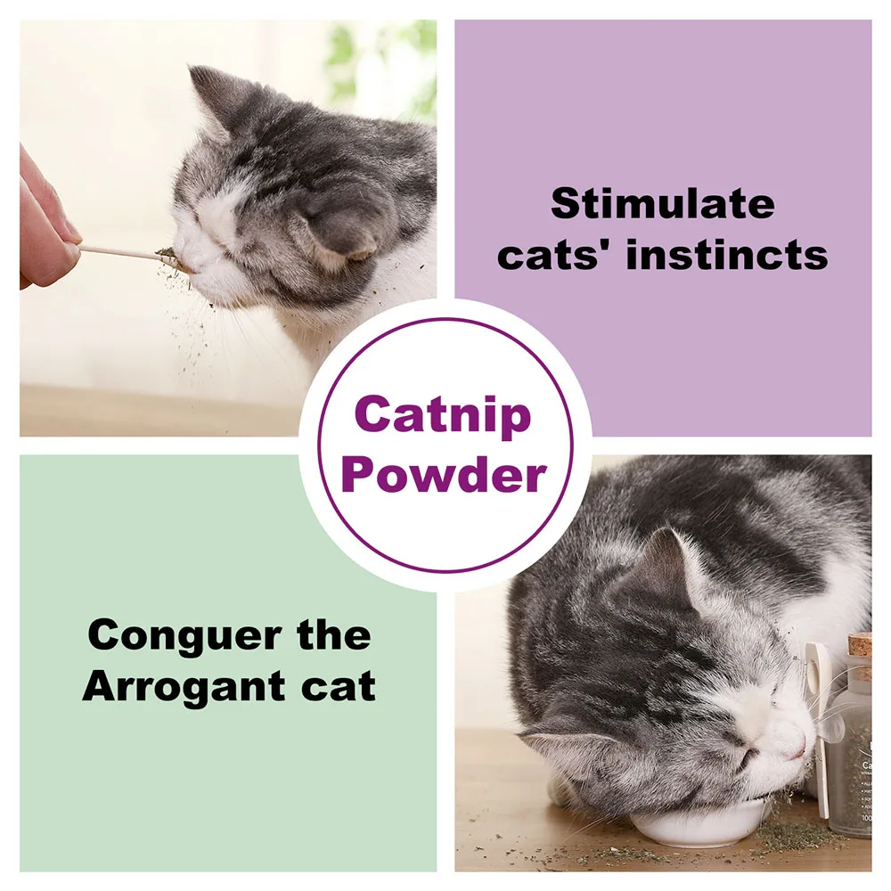 Organic Catnip Safe Premium Blend Perfect for Cats, Instilled with Maximized Potency your Kitty is Guaranteed to Go Crazy 100ML - Image 6