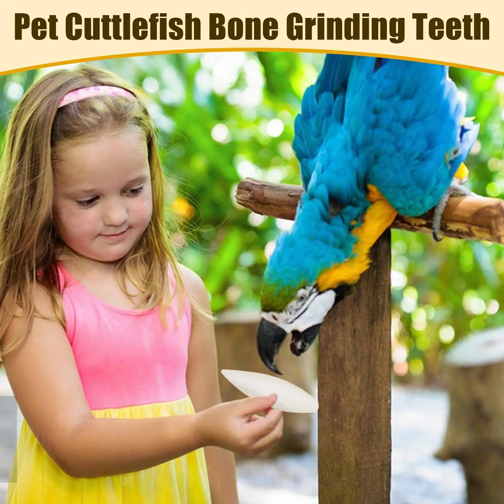 Bird Cuttle Bone Natural Calcium For Parrots 4 Pieces Pet Birds Nutritional Supplementation Calcium For Cockatiels Sparrow - Image 3