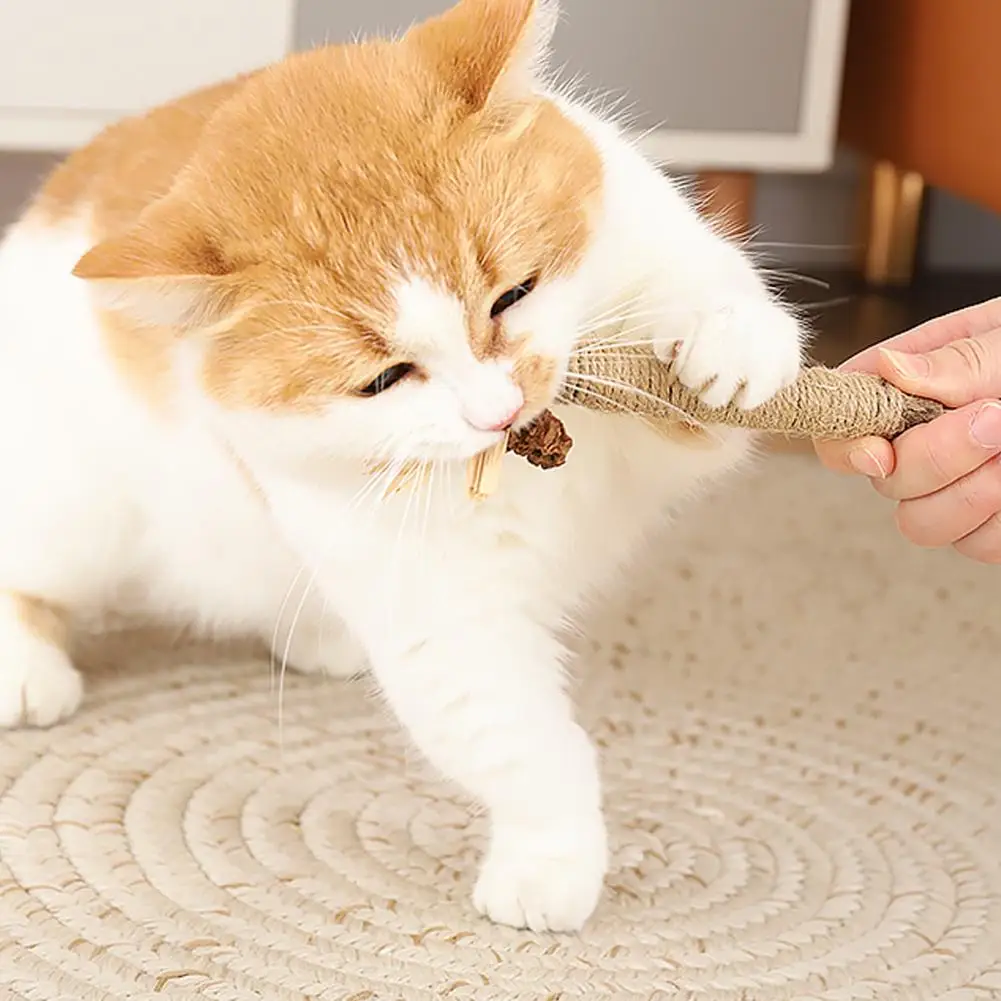 Cat Toys,Natural Matatabi,Pet Cat Snacks Sticks,Cleaning Tooth Catnip,Bite-resistant,Teeth Grinding Stick,Pet Supplies - Image 3