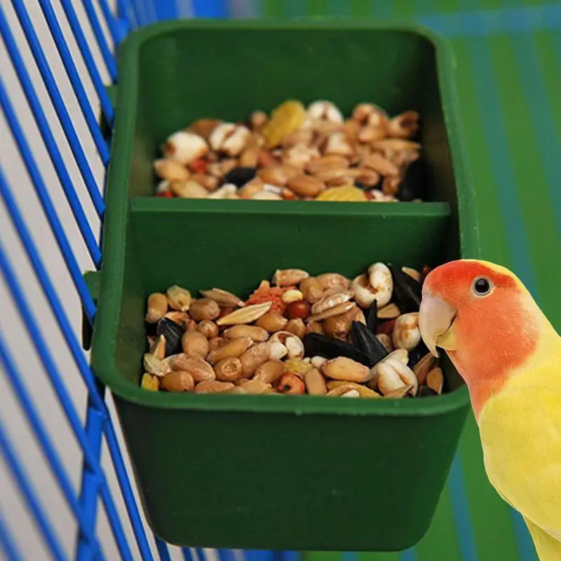 2 In1 Bird Food Water Bowl Parrot Dual Feeding Cup Plastic Pigeons Cage Water Food Feeder Bird Parrot Pet Aviary Water Box Bowl - Image 4